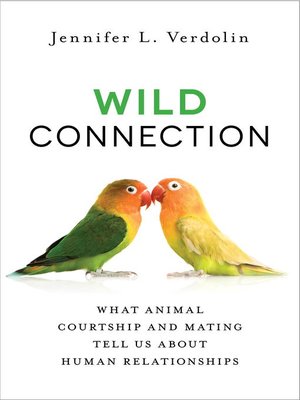 cover image of Wild Connection